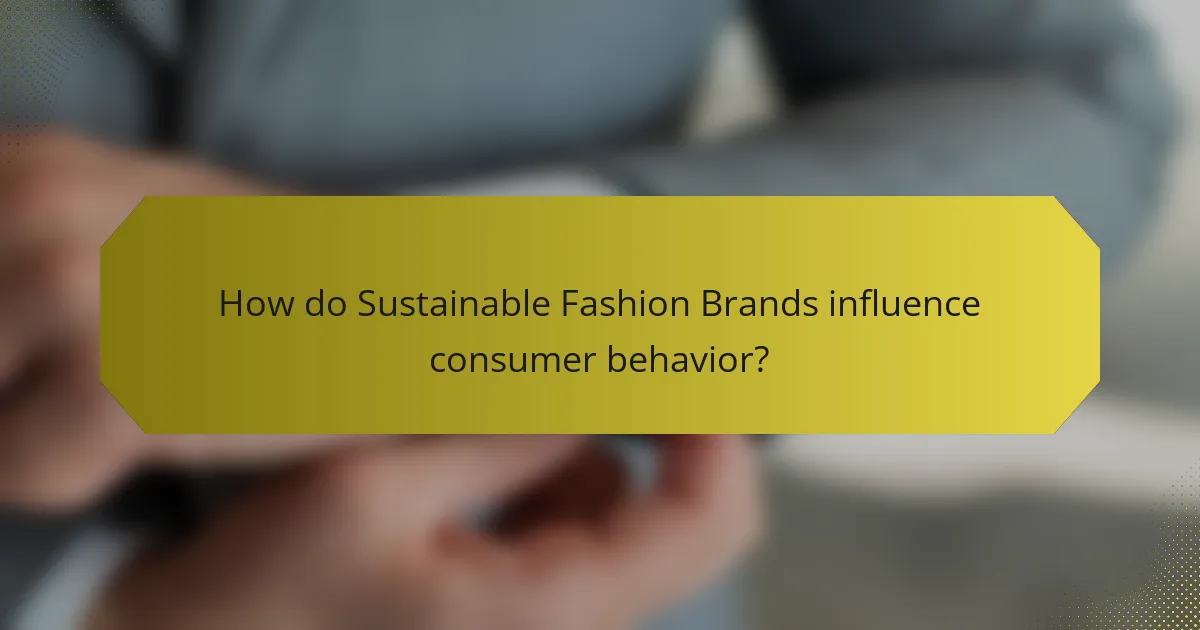 How do Sustainable Fashion Brands influence consumer behavior?