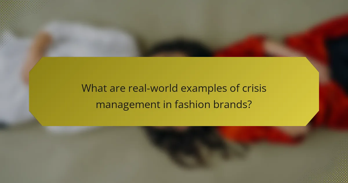 What are real-world examples of crisis management in fashion brands?