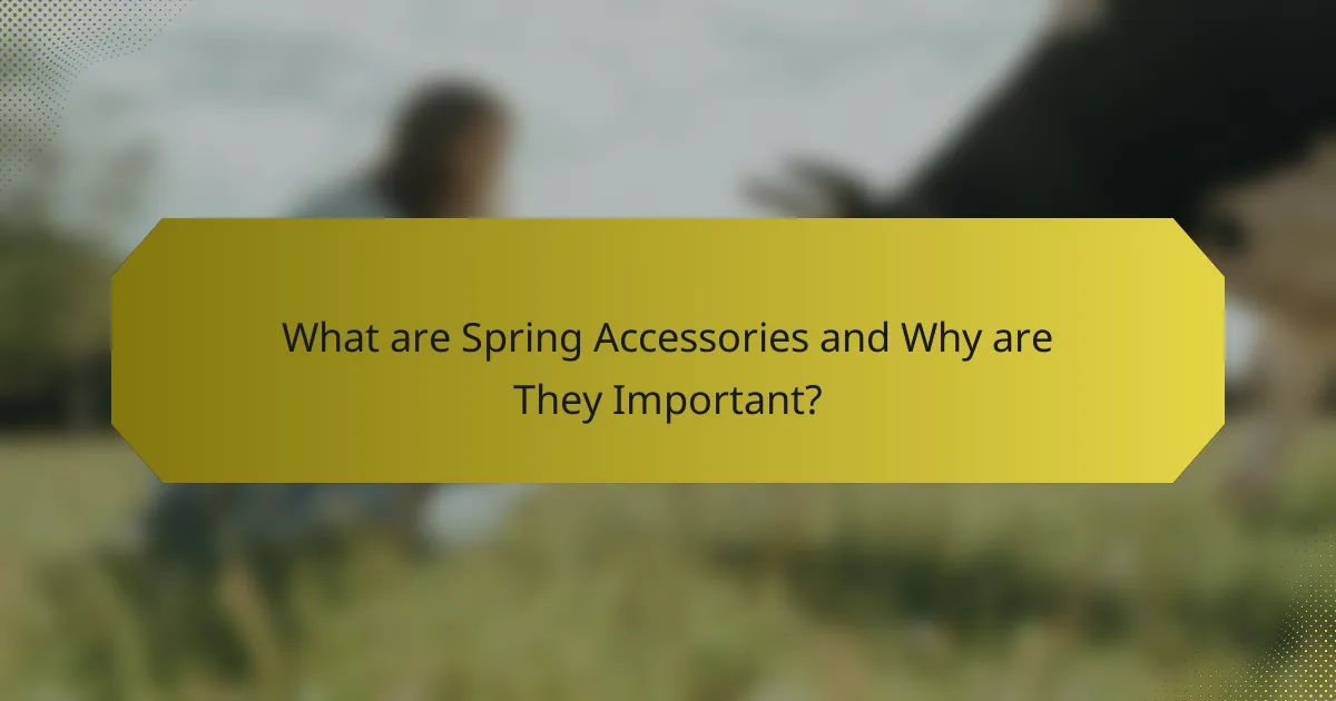 What are Spring Accessories and Why are They Important?