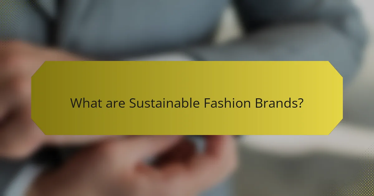 What are Sustainable Fashion Brands?
