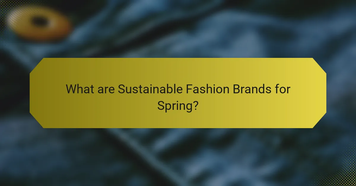 What are Sustainable Fashion Brands for Spring?