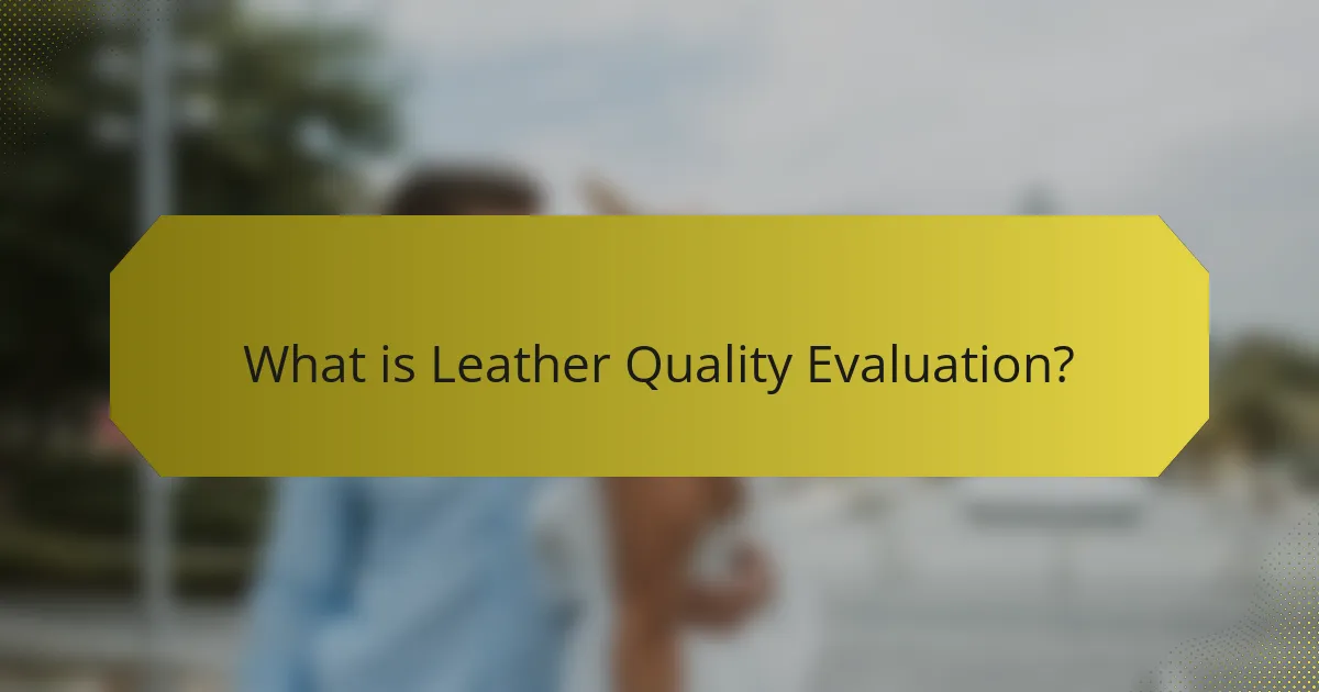 What is Leather Quality Evaluation?