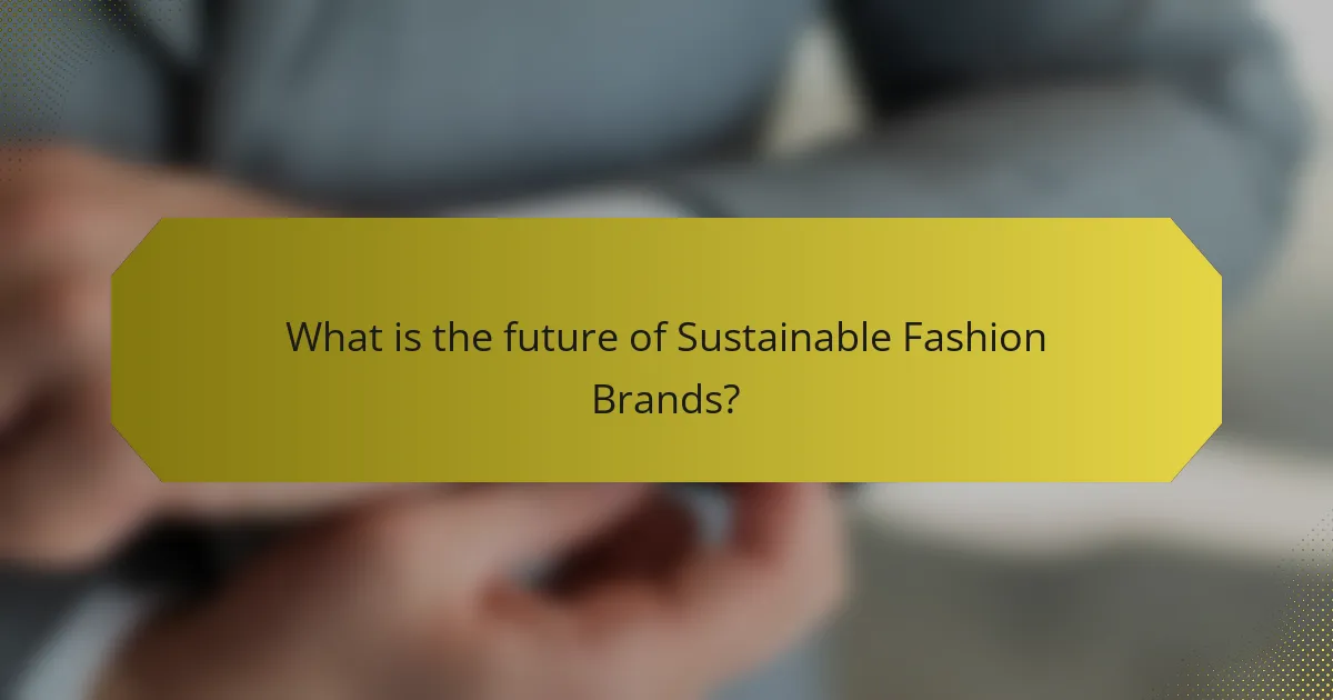 What is the future of Sustainable Fashion Brands?